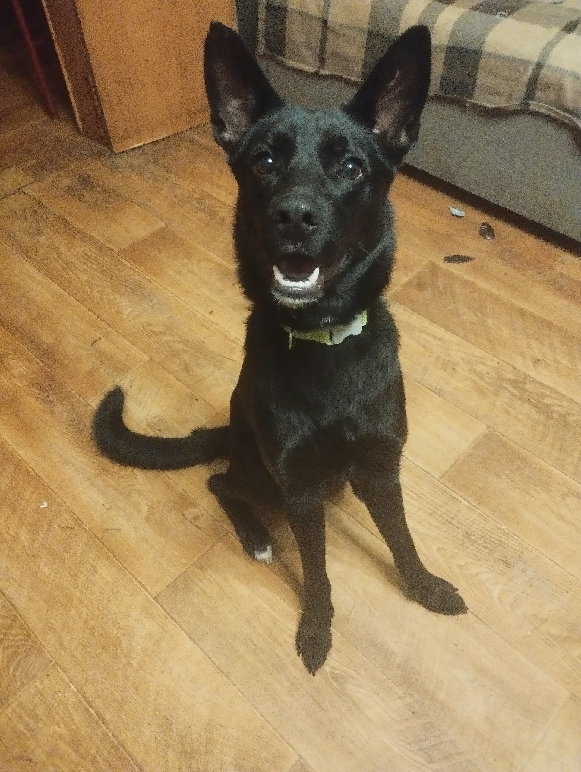 Мато