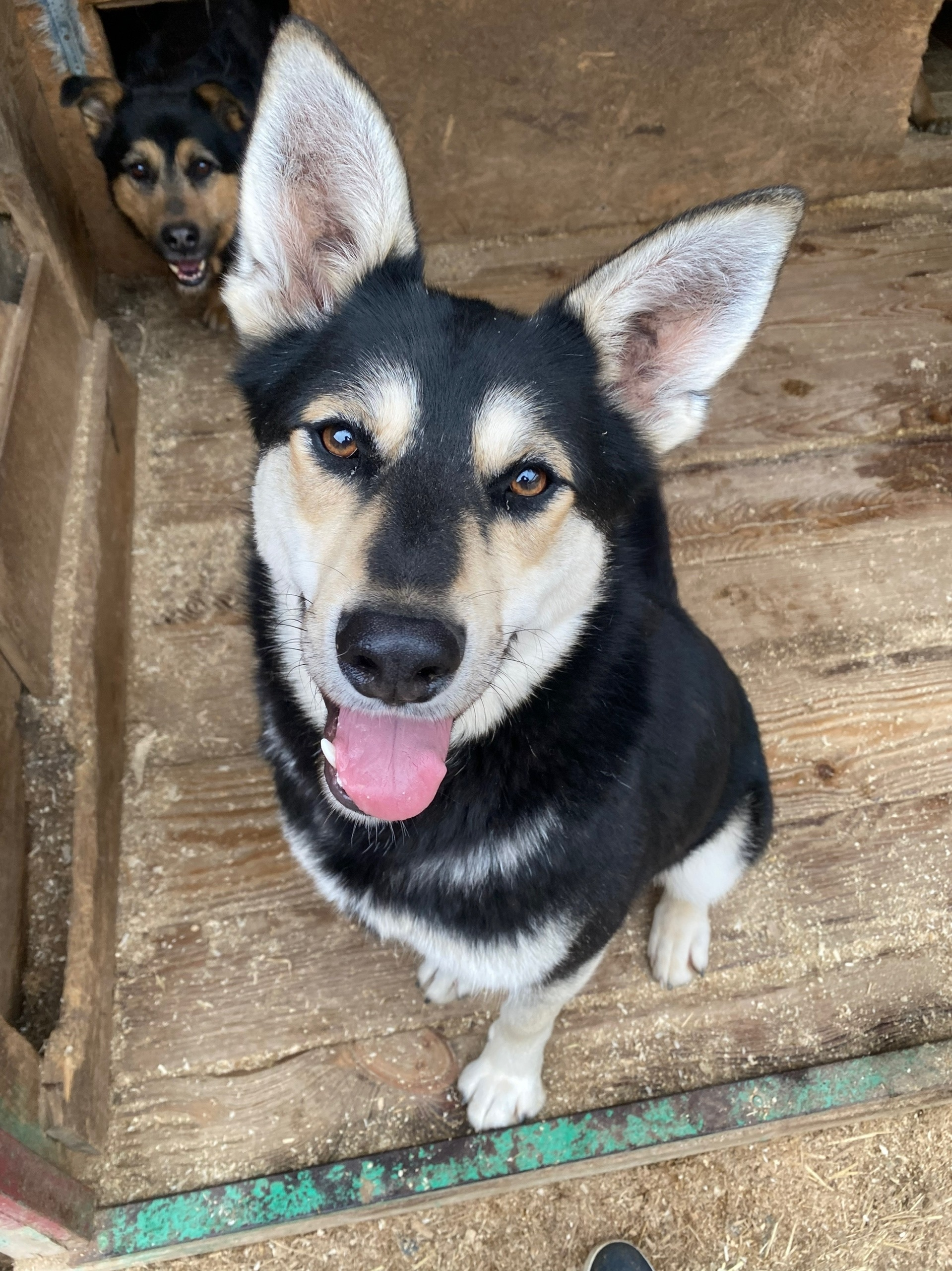 Марта